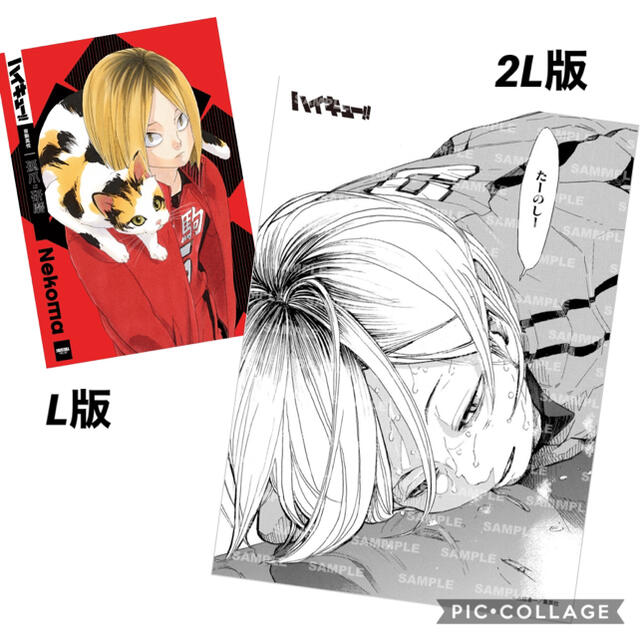 ハイキュー ジャンフェス おみくじ ブロッキー 孤爪研磨 ハイキュー ジャンフェス おみくじ ブロッキー 孤爪研磨