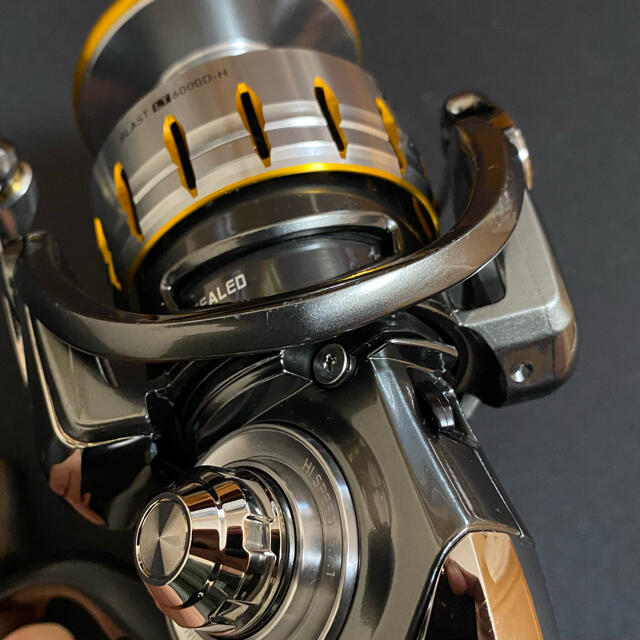 ダイワ 18ブラストLT6000D-H DAIWA BLAST ダイワ 18ブラストLT6000D-H DAIWA BLAST
