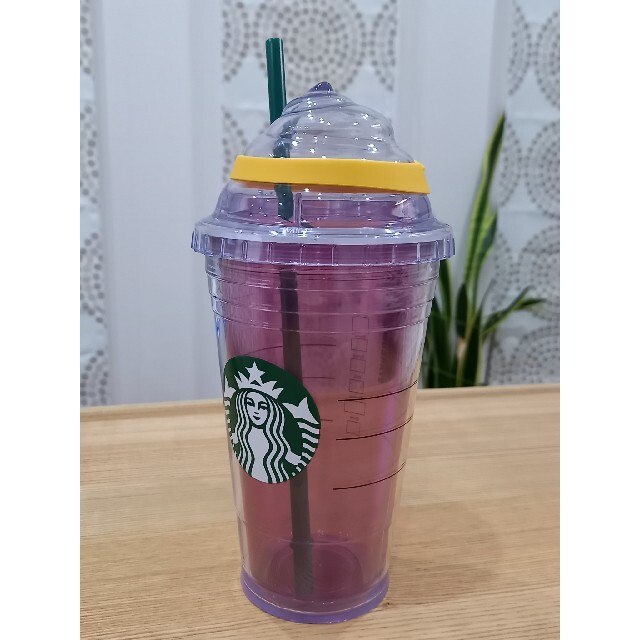 Starbucks Coffee(スターバックスコーヒー)のSTARBUCKS　coffee　フラペチーノ　タンブラー　2009 エンタメ/ホビーのエンタメ その他(その他)の商品写真