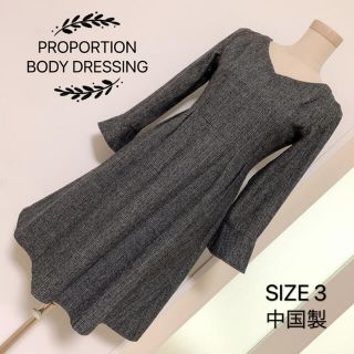 プロポーションボディドレッシング(PROPORTION BODY DRESSING)のPROPORTION BODY DRESSING チェック柄 ワンピース(ひざ丈ワンピース)