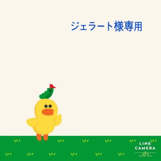 LOREAL PROFESSIONAL - ロレアル プロフェッショナル パリ