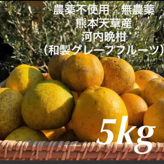 農薬不使用　無農薬　落下　河内晩柑　（和製グレープフルーツ）5kg 熊本天草産(フルーツ)