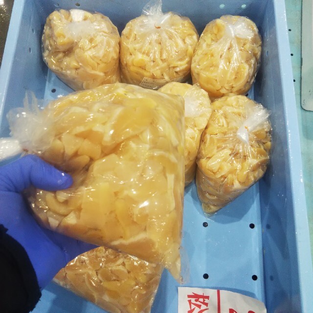 １月１５日 地元の 真珠貝(アコヤ貝)１キロ 食品/飲料/酒の食品(魚介)の商品写真