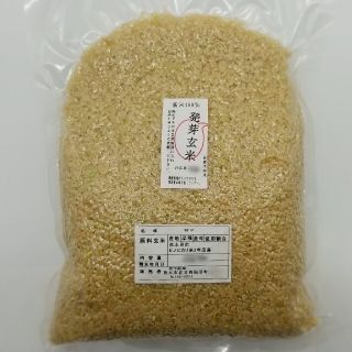 熊本県産　新米100%　発芽玄米　900g ヒノヒカリ　れんげ米(米/穀物)