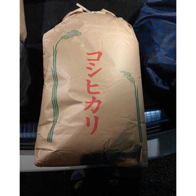 うるち玄米　30キロ　コシヒカリ 食品/飲料/酒の食品(米/穀物)の商品写真