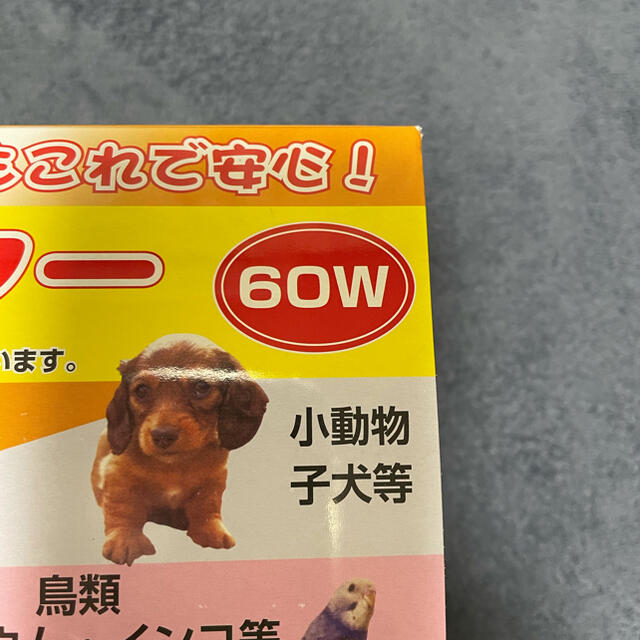 アサヒ(アサヒ)のアサヒ　ペットヒーター　 その他のペット用品(小動物)の商品写真