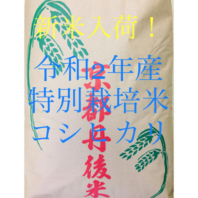 送無料　新米入荷！令和2年産「特別栽培米コシヒカリ玄米」普通精米を無料サービスします！