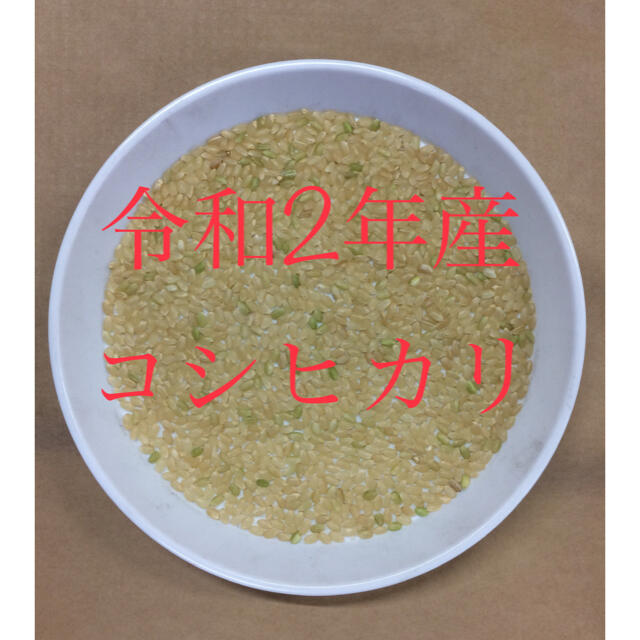 新米入荷！令和2年産「特別栽培米コシヒカリ玄米」普通精米を無料サービスします！　米/穀物
