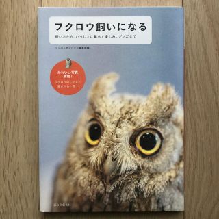 フクロウ飼いになる(住まい/暮らし/子育て)