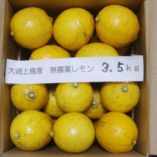 広島県大崎上島無農薬レモン　3.5kg(フルーツ)