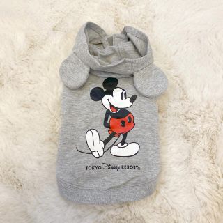 ディズニー(Disney)のディズニーランド　ディズニーシー　犬服(犬)