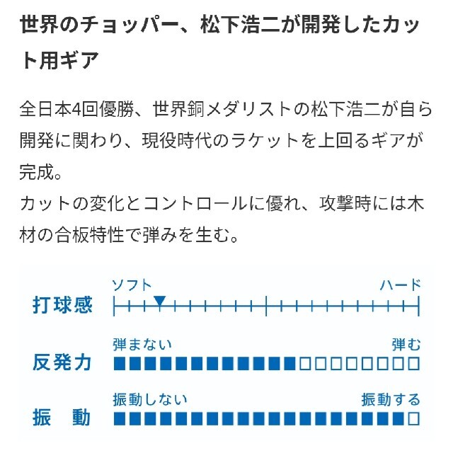 TSP(ティーエスピー)の松下浩二ラケットST スポーツ/アウトドアのスポーツ/アウトドア その他(卓球)の商品写真