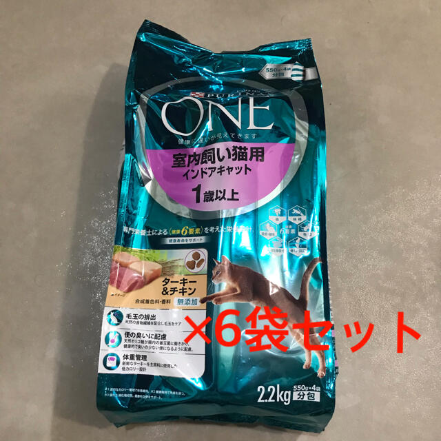 spicygem 鶴仙園 限定コラボ 鉢 srl インビジブルインク 抽選 spicygem 鶴仙園 限定コラボ 鉢 srl インビジブルインク 抽選
