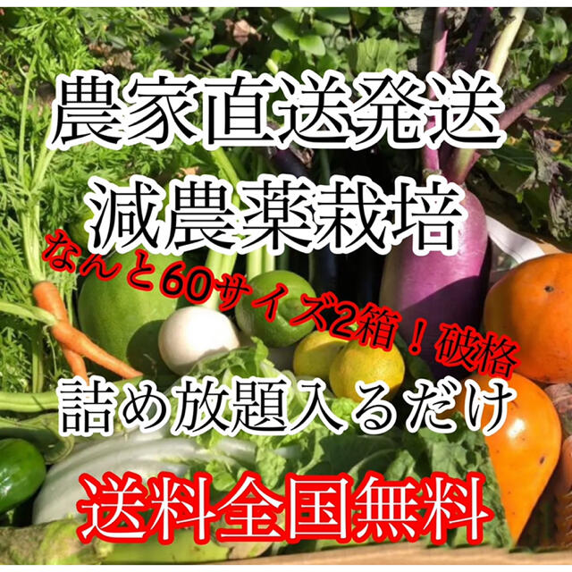 冬野菜詰め合わせ破格60サイズ2箱‼️ダンボール入るだけ 食品/飲料/酒の食品(野菜)の商品写真