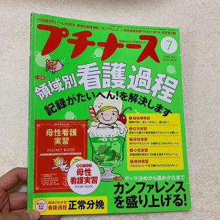 プチナース 2018年 07月号　母性(専門誌)