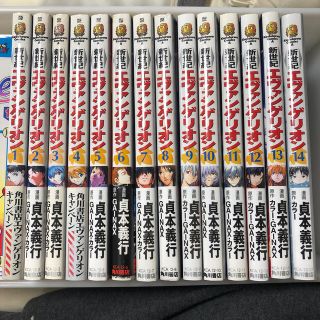 新世紀エヴァンゲリオン ｖｏｌｕｍｅ　１４　全巻セット(全巻セット)