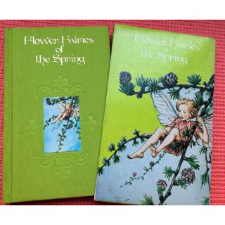 洋書【Flower Fairies the Spring】(洋書)