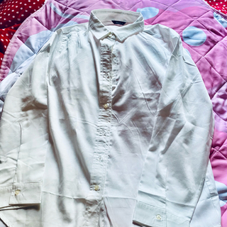 白色のシャツ(シャツ/ブラウス(長袖/七分))