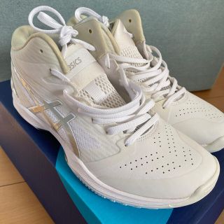 アシックス(asics)の【専用】新品　アシックス バスケットボールシューズ ゲルフープ　24.0(バスケットボール)