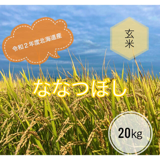 令和2年度北海道産ななつぼし玄米20㎏農家直送　米/穀物