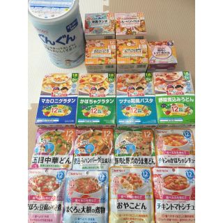 ワコウドウ(和光堂)のお得！　ぐんぐん＆離乳食各種(その他)