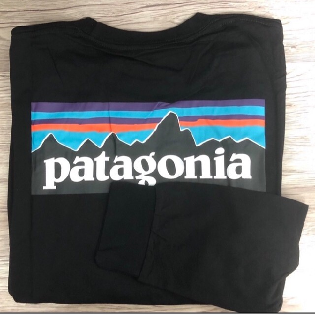 patagonia(パタゴニア)の【XLサイズ】 パタゴニア ロンT ロングスリーブ P-6ロゴ 長袖 メンズのトップス(Tシャツ/カットソー(七分/長袖))の商品写真