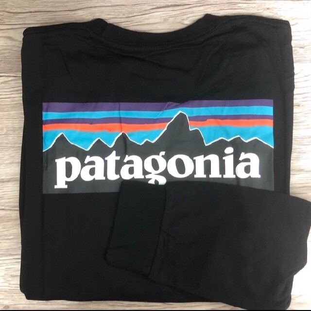 patagonia(パタゴニア)の【Lサイズ】 パタゴニア ロンT ロングスリーブ P-6ロゴ 長袖 メンズのトップス(Tシャツ/カットソー(七分/長袖))の商品写真