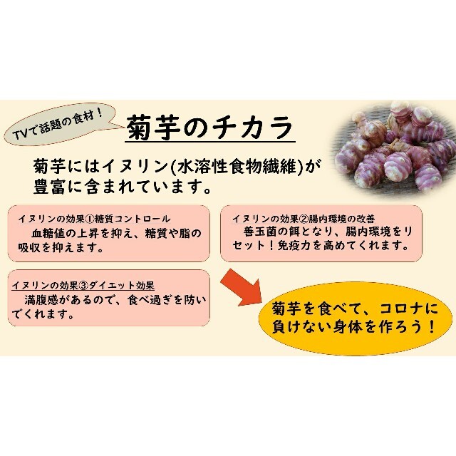 農薬・化学肥料不使用　赤キクイモ　約1.2キロ　宅急便コンパクト 食品/飲料/酒の食品(野菜)の商品写真