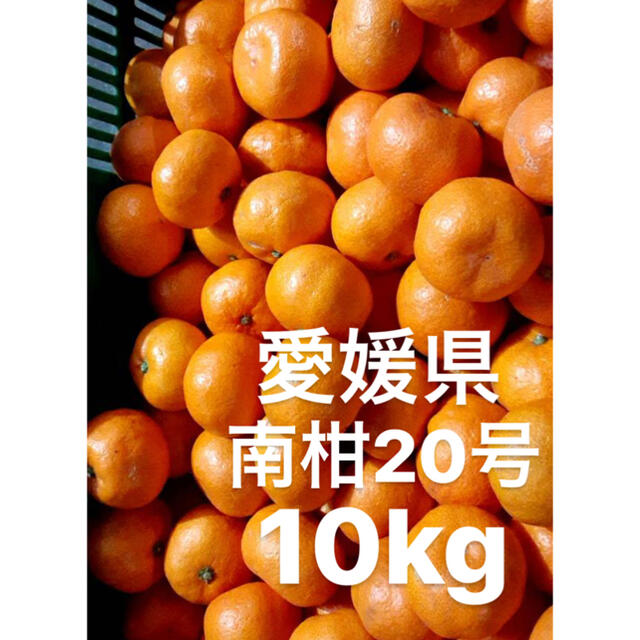 愛媛県　南柑20号　みかん　S〜2S  10kg 食品/飲料/酒の食品(フルーツ)の商品写真