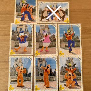 スペシャルフォト 2011 原板 ランド ノーマルコス www.krzysztofbialy.com