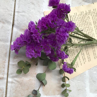 明るい紫　スターチスとユーカリ　小分け　ドライフラワー　花材(各種パーツ)