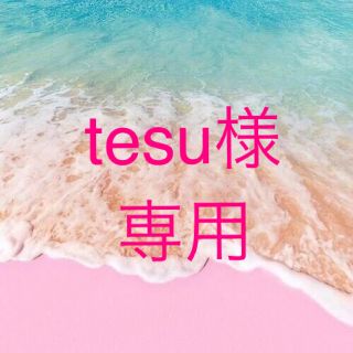 tesu様専用♡(フロアマット)