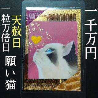 【✨1点物✨ にゃんこ  猫 招き猫 白蛇  抜け殻 金 御守り お守り ネコ(財布)