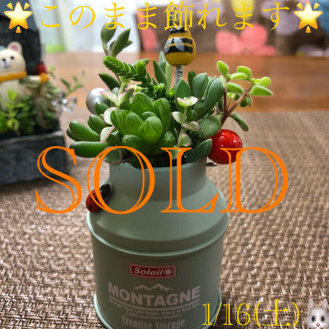 寄せ植え❤︎このまま飾れます❤︎ミルクタンク♪ ハンドメイドのフラワー/ガーデン(その他)の商品写真