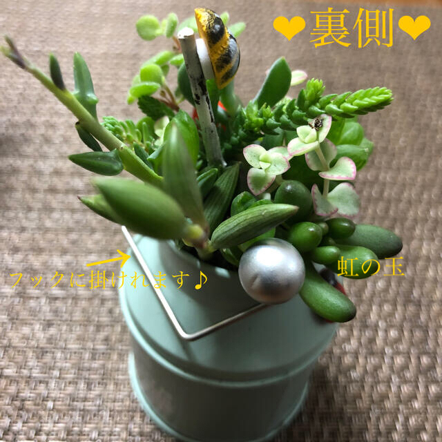 寄せ植え❤︎このまま飾れます❤︎ミルクタンク♪ ハンドメイドのフラワー/ガーデン(その他)の商品写真