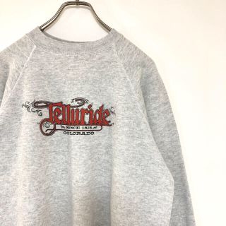 ヘインズ(Hanes)の90s USA製 Hanes スウェット トレーナー プリント コロラド 古着(スウェット)