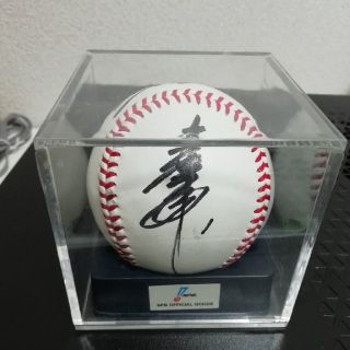 ヨコハマディーエヌエーベイスターズ(横浜DeNAベイスターズ)のベイスターズ　金城直筆サインボール　NPB(記念品/関連グッズ)