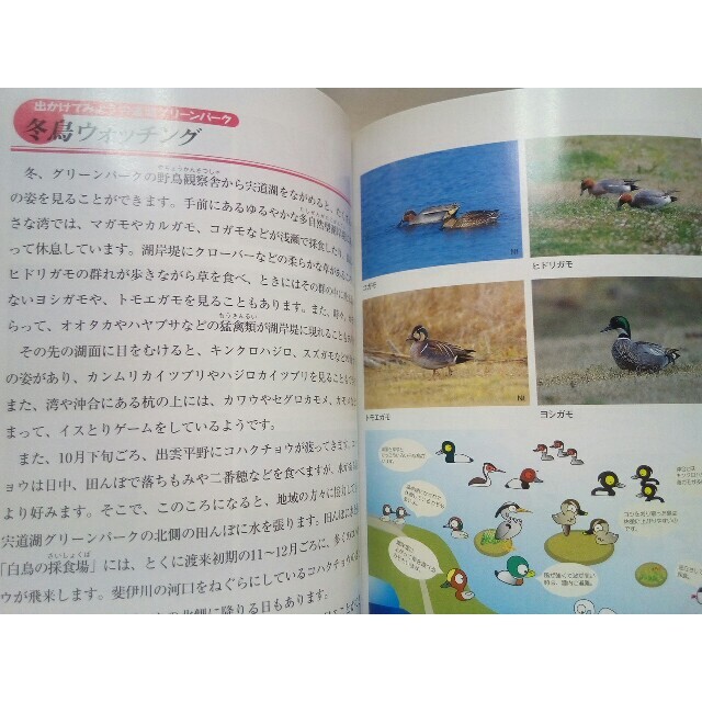 ◇みんなの宍道湖 自然観察ガイドブック◇島根県 中海 斐伊川 ◇みんなの宍道湖 自然観察ガイドブック◇島根県 中海 斐伊川