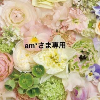 am*さま専用ページ♡(つけ爪/ネイルチップ)