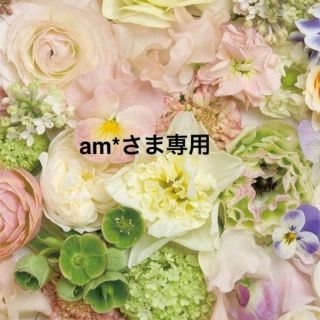 am*さま専用ページ♡ コスメ/美容のネイル(つけ爪/ネイルチップ)の商品写真