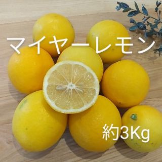 国産マイヤーレモン　約3Kg(フルーツ)