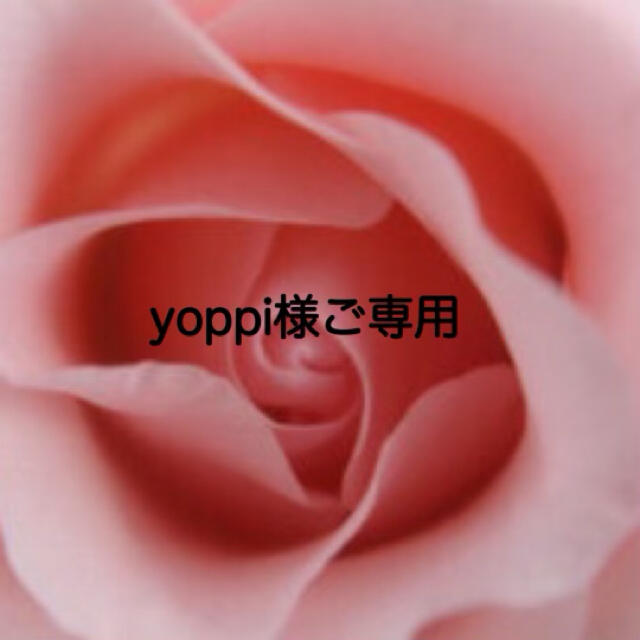 Lindt - yoppi様ご専用 の通販 by ♡Ferris wheel♡'s shop|リンツ