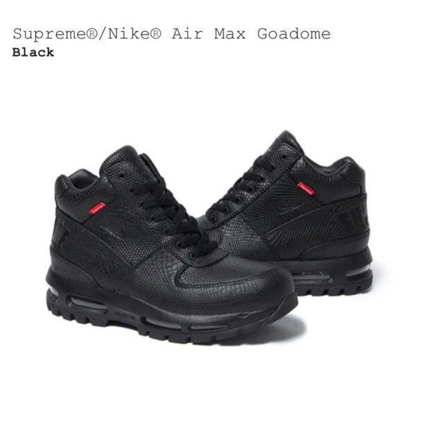 Supreme®/Nike® Air Max Goadome 27.5cm - スニーカー