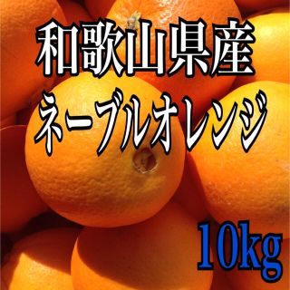 ネーブルオレンジ 10kg 40個前後(フルーツ)