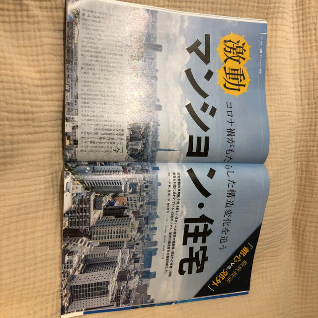 週刊 東洋経済 2021年 1/16号 エンタメ/ホビーの雑誌(ビジネス/経済/投資)の商品写真