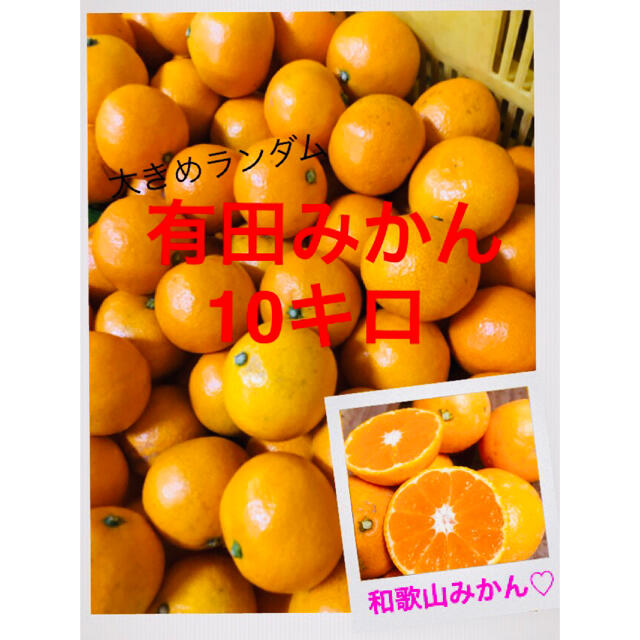 和歌山有田みかんM〜3L大きめランダム混合10キロ 食品/飲料/酒の食品(フルーツ)の商品写真