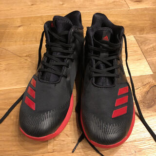 アディダス(adidas)のアディダス  バッシュ　24.5センチ(バスケットボール)