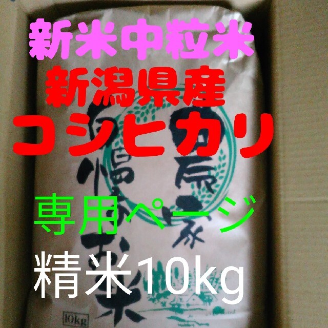 ジュニぞう様専用 食品/飲料/酒の食品(米/穀物)の商品写真