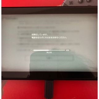 ニンテンドースイッチ(Nintendo Switch)の新型Nintendo Switch 本体　グレー　ケース付(家庭用ゲーム機本体)