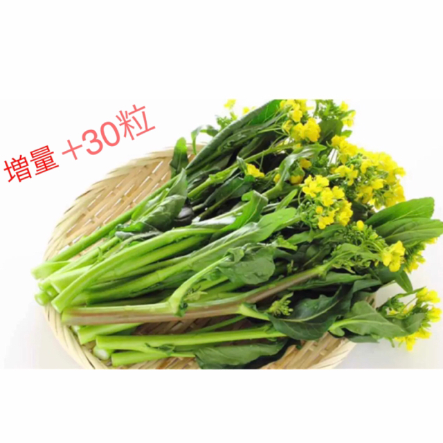 風味抜群美味しい❗️❗️ 次々収穫できる『アスパラ菜』　種50粒＋30❣️ 食品/飲料/酒の食品(野菜)の商品写真